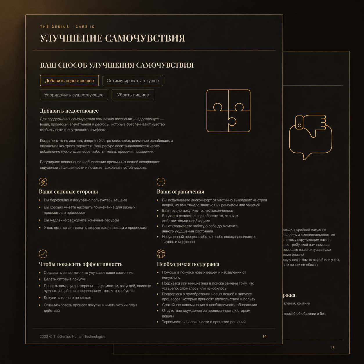 Страницы отчёта Care ID