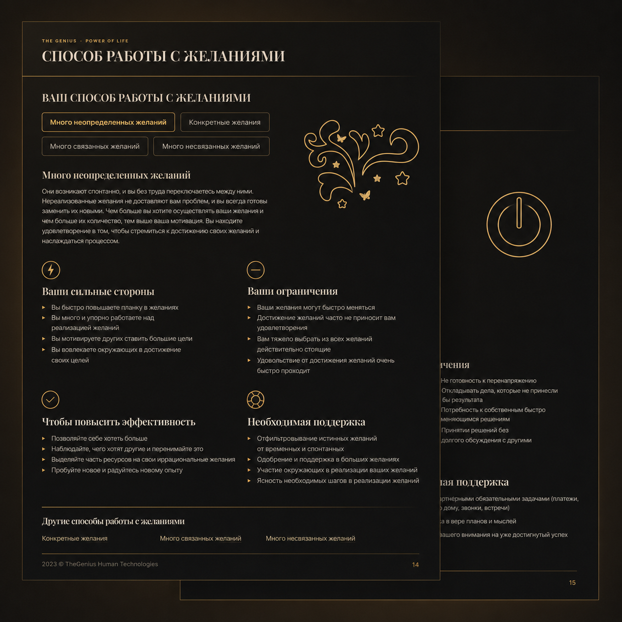 Страницы отчёта Power of Life